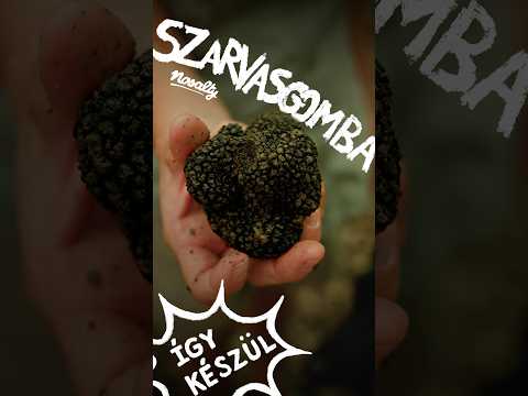 Hogyan használjuk fel a szarvasgombát? | Nosalty