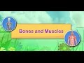 Human Anatomy and Physiology Concepts
