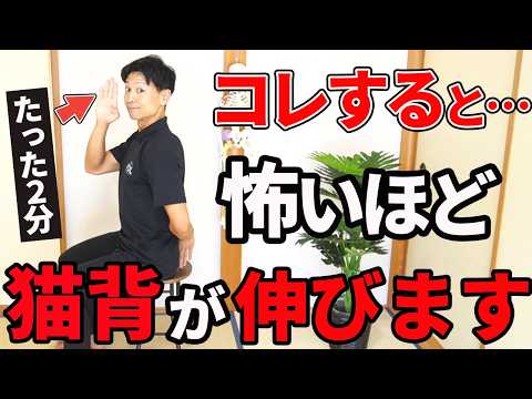 猫背が気になる人必見!超簡単に背中が伸びる方法