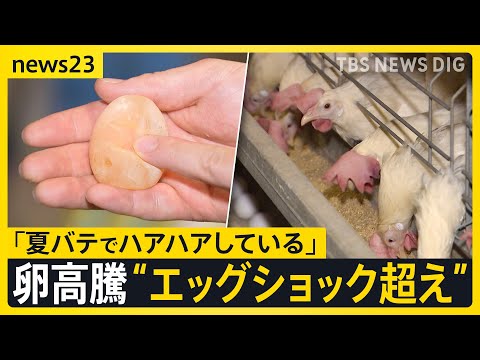 経済金融の動画サムネイル - 猛暑でニワトリも夏バテ「エッグショック超え」タマゴ高騰　エサ食べる量が減り“ブヨブヨの卵”　韓国では暑さで家畜100万頭以上が死ぬ【news23】｜TBS NEWS DIG