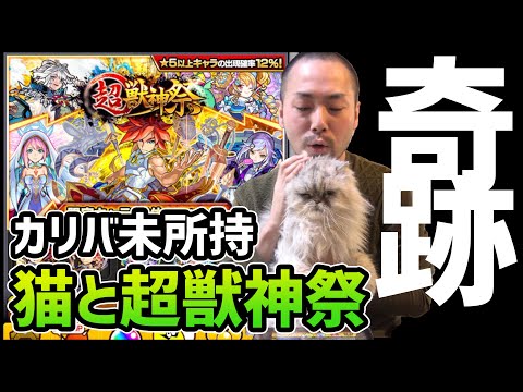 【モンスト】エクスカリバー未所持...猫と超獣神祭引いたら奇跡が起きた!!!!【ぎこちゃん】