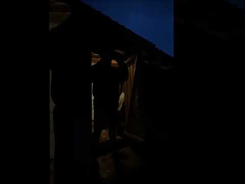Когда по настоящему решил стать мужиком #shorts #vlog #влог