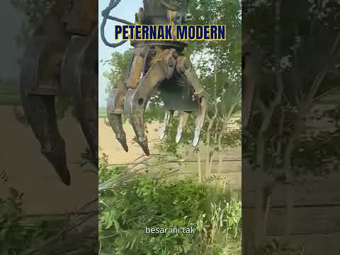 Peternak Modern #shorts #modern #ternak #viral #viralvideo #peternak #nature