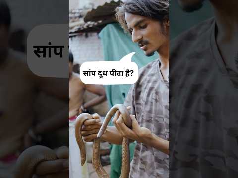 फिर एक साँप की जान बचाई ❤️ - P2 #snake #snakerescue #redsandboa #wildlife #findingfauna #trending