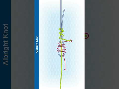 #Shorts How To Tie The Albright Knot