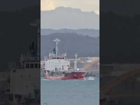 Mipo's daily life - 101