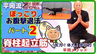 平岡流ぽっこりお腹撃退法パート2～脊柱起立筋～#脊柱起立筋#ストレッチ#腹直筋#背筋#体幹#姿勢改善#腰痛予防#ネコちゃん体操#ダイアゴナル