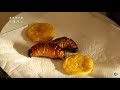 Exploring Peruvian Jungle Cuisine