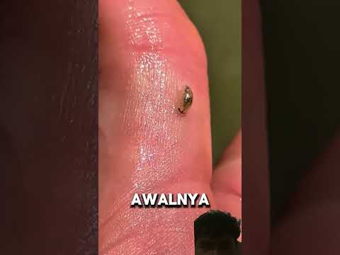 #shorts #trendingshorts #viralvideo #viral #trending