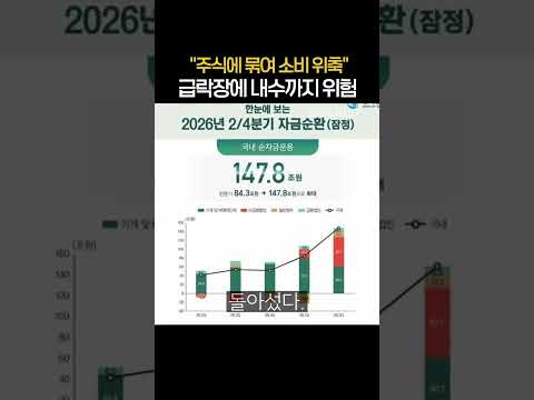 "주식에 돈 다 묶였다" 급락장에 내수까지 '위험'  (20261017)  #삼성전자 #SK하이닉스
