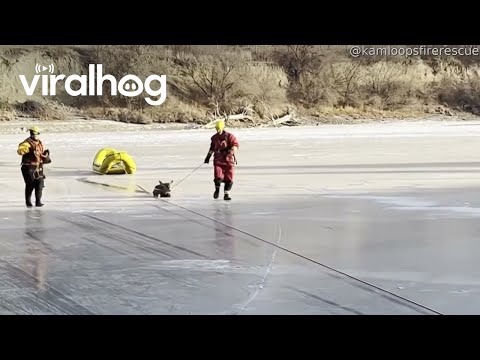 Kamloops Fire Rescue Pull Deer Off Frozen Thompson River || ViralHog