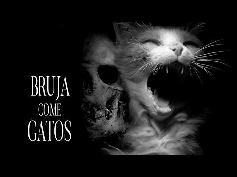 Sagrado BRUJA Come GATOS Historias De Terror - REDE