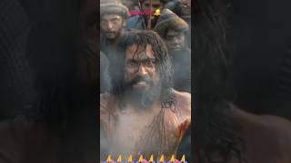 Chava movies... #shortvideo #...🐯🦁🐯...