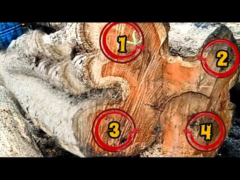 4 broke Wooden Branches Mysterious,Make Dangerous At The Sawmill