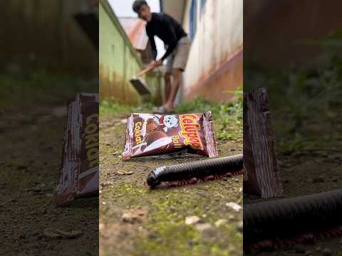 Strange but true, this candy is powerful enough to summon a hidden millipede#shorts#millipede