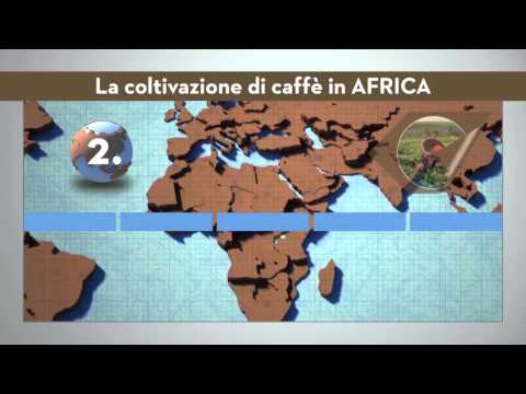 infografica africa