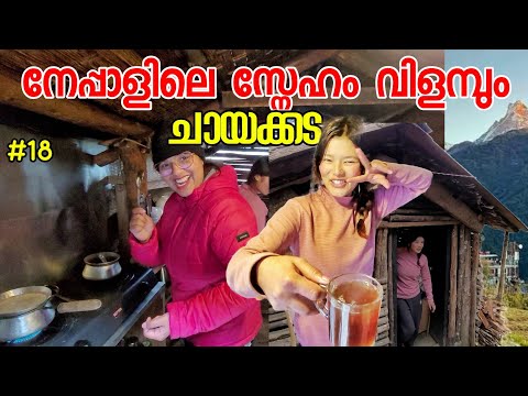 EP18 നേപ്പാളി സുന്ദരിമാരുടെ ചായക്കടയിൽ ഇനി എനിക്കും ജോലി 😍New Job In Nepal Gandruk Village