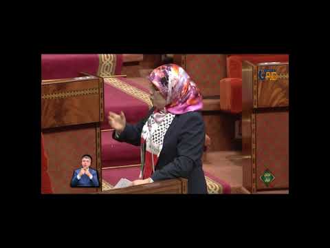 (17) منينة في تعقيب اضافي حول سياسة دعم الصناع التقليديين