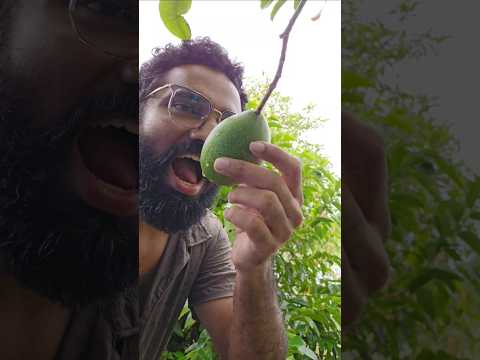 The last fruit review 🥲 ഈ പഴം റിവ്യു ചെയ്യുന്ന ആദ്യത്തെയും അവസാനത്തെയും വ്ലോഗർ ! 😎 #fruitlover