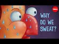 Understanding Sweating and Its Mechanisms