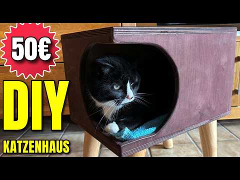 Super günstiges DESIGN KATZENHAUS selber bauen | DIY KATZENBETT unter 50€ 😍🎁