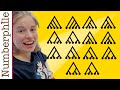 Understanding Catalan Numbers and Related Concepts