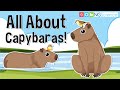 Wetlands and Capybara Behavior