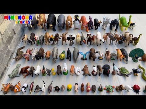 Colección de animales ampliada: Búho Armadillo Anguila Orangután Macaco y mas ✨ Mimonona Stories