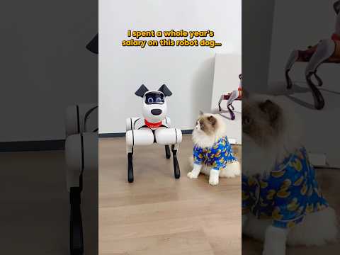 Robot dog from 2077 #puffmademebuy #ai #robot #robotdog #pet