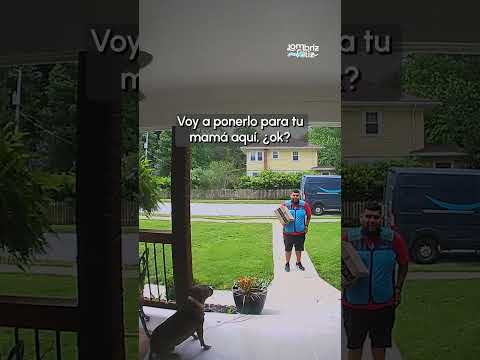 No sabía si esta perrita era amigable o no 😳🐶 #shorts #perros #noticiaspositivas #buenasnoticias
