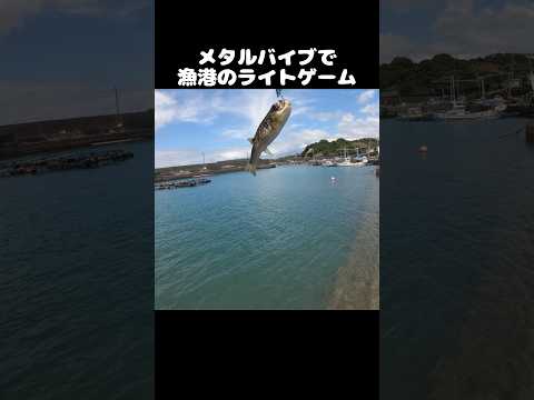 thumbnail_fdBLzSpU5YQ