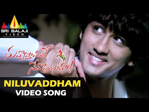 Nuvvostanante Nenoddantana Video Songs | Niluvaddam Ninne Video Song | Siddharth