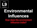 Environmental Influences on Genetics