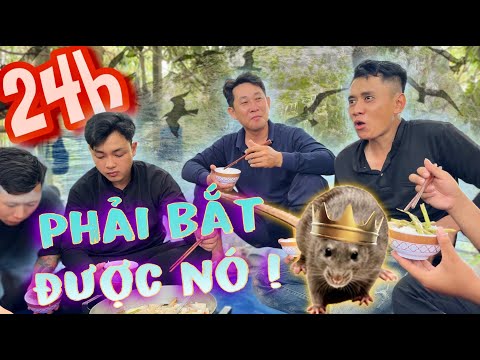 Hành Trình 24H Cắm Trại Và Săn Bắt Chúa Tể Loài CHUỘT | Thanh Nhã TV