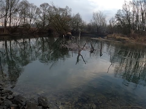 Murska šuma, Lendava Slovenija - potep po brezpotjih - lepote narave