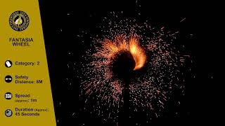 Fantasia Catherine Wheel from Zeus @fireworkcrazy
