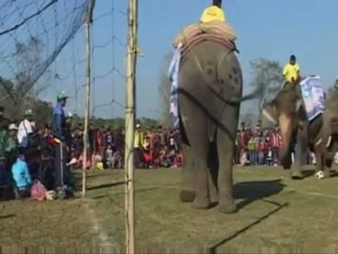 Ten nietypowy mecz rozegrano w Nepalu. Wbrew pozorom, zawodnicy wcale nie poruszają się jak słoń w składzie porcelany!