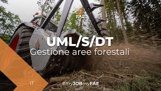 La trincia forestale FAE al lavoro con un trattore Fendt in Germania