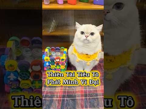 Phát Minh Vĩ Đại Của Thiên Tài Tiểu Tô ✅👍 #Shorts #ThuCung #ChoMeoDrama #meouo6868 #tiktok #douyin