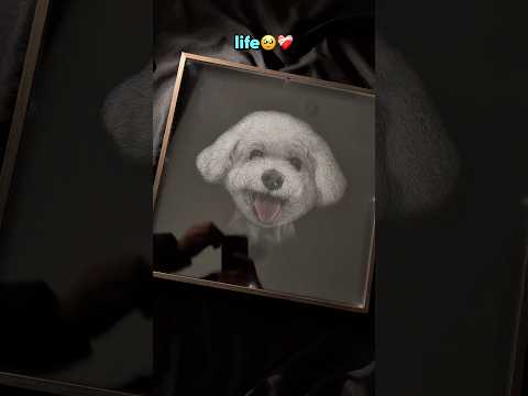 A Father’s Gift to Remember Her Dog Forever🥹❤️‍🩹