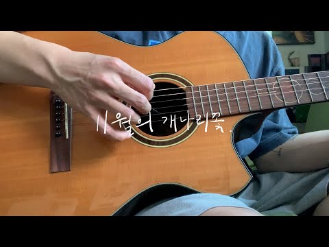 자작곡 - 11월의 개나리꽃
