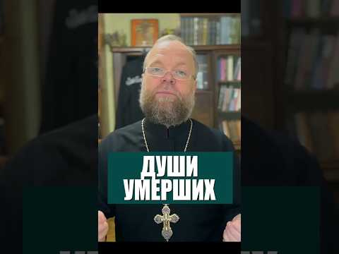 Души умерших. #душа #дух #Евгений Куценко