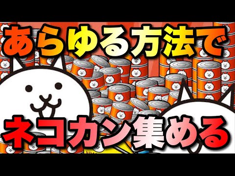 猫の動画サムネイル - ありとあらゆる方法でネコカンを集める！全てはソニックガチャのため！　#にゃんこ大戦争　#battlecats