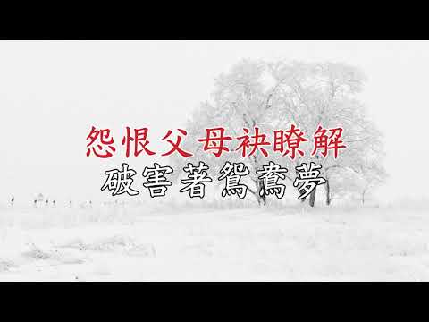 運河悲喜曲