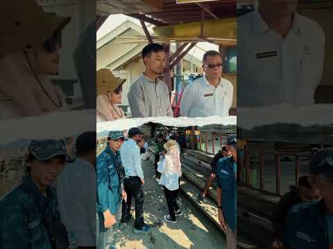Pertamina PHE ONWJ, KKPMP Mayangan, dan PPLH IPB Tanam Pohon Mangrove di Pulau Burung #subang#shorts