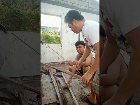 Hindi mitro kahoy ang putulin #video #trending #funny #fyp #viral