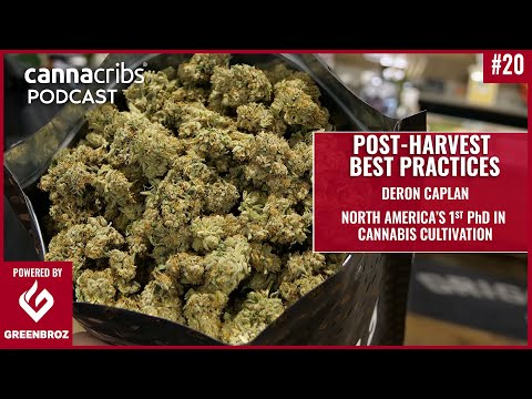 1st North American Cannabis PhD talks Post-Harvest: Drying, Curing, Trimming