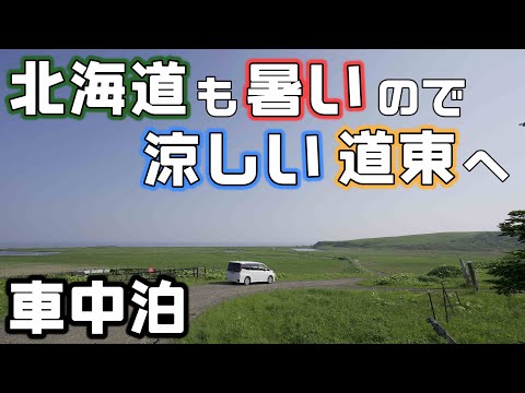 涼しい道東根室までソフトクリームを食べに車中泊旅！花咲線の廃駅とフレシマ湿原