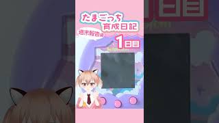 たまごっち育成日記、復活します！！！ #たまパラ