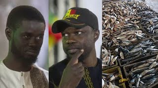 Du jamais vu la baisse des prix de poissons commence sur kounguel